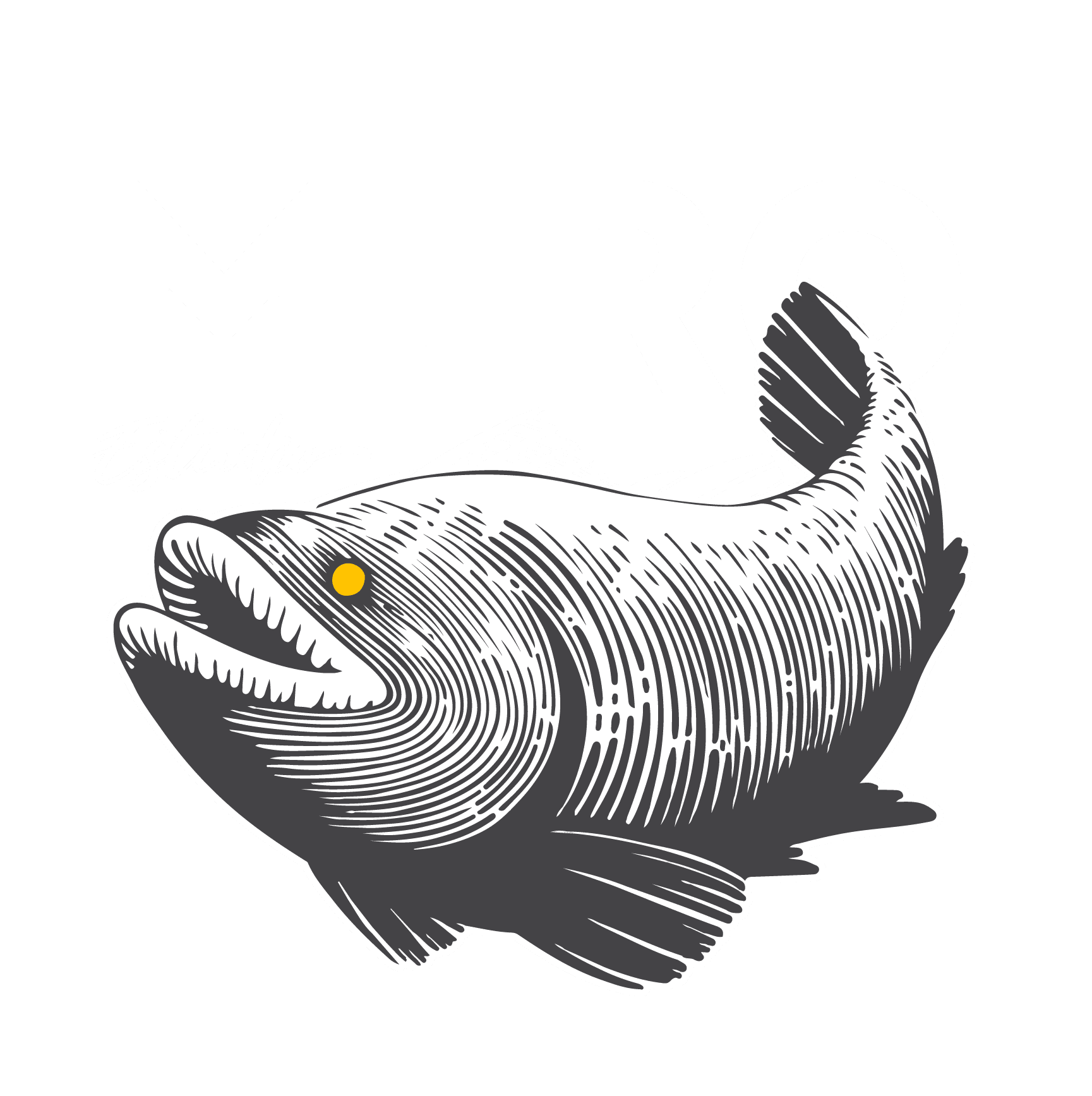 MERO Estudio