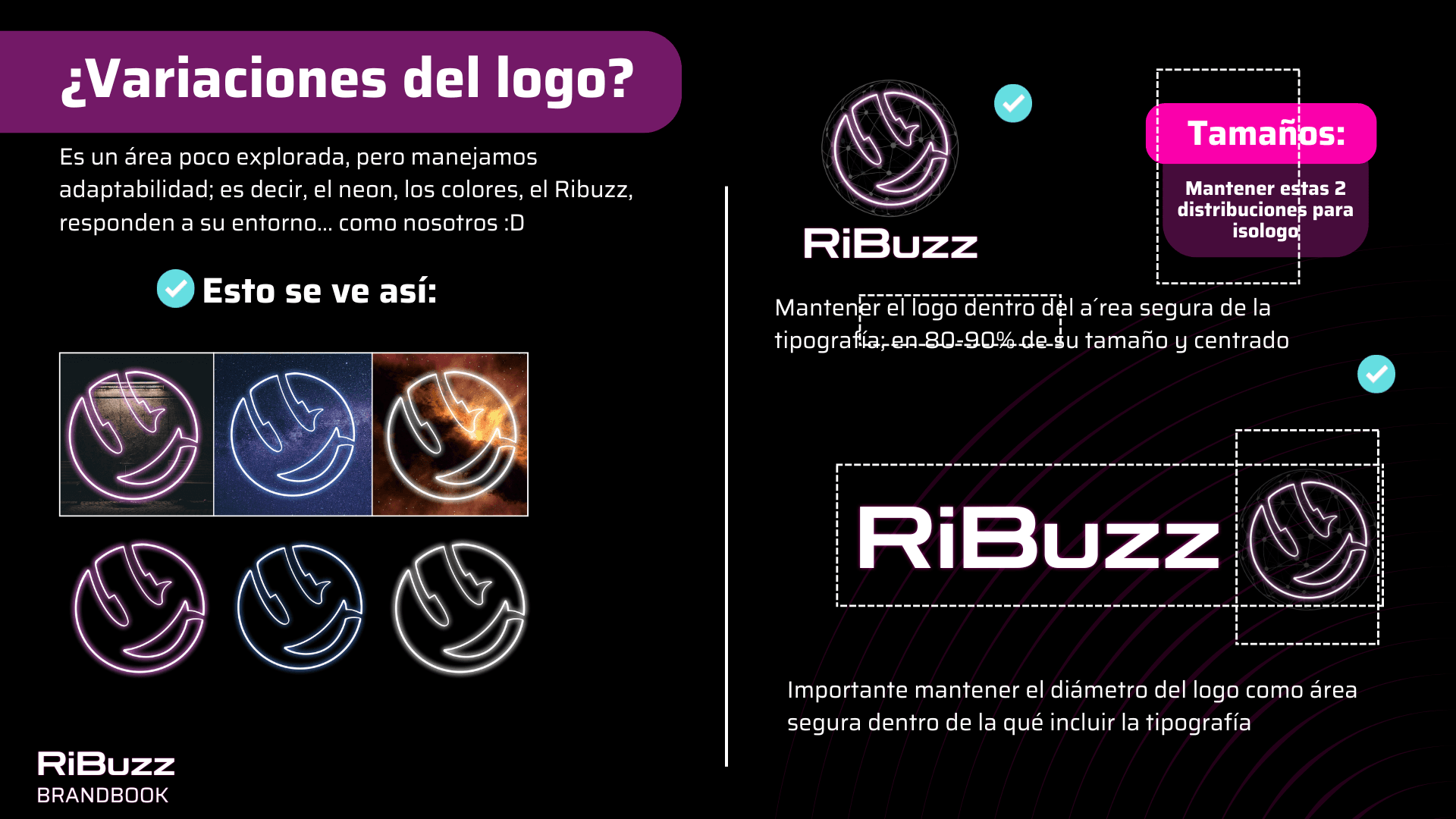Manual RiBuzz, lámina 2