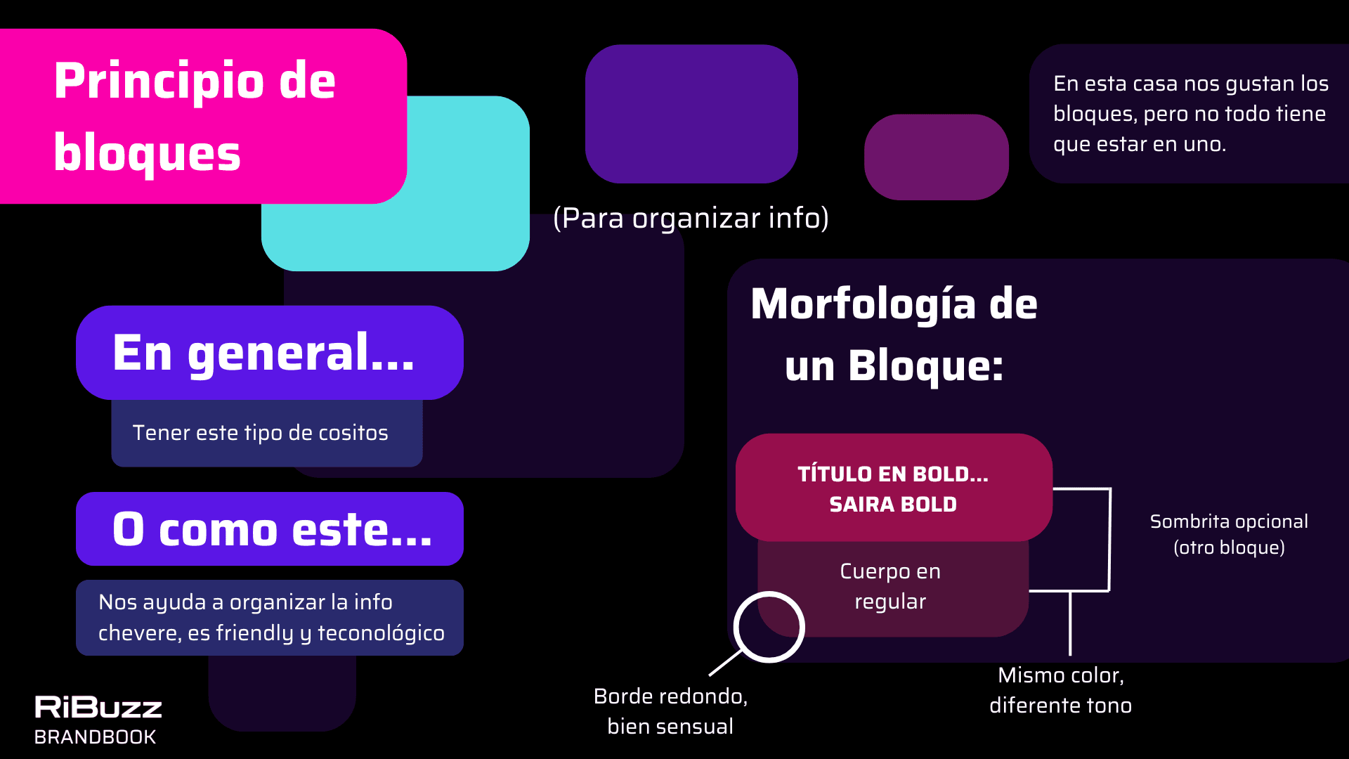 Manual RiBuzz, lámina 7